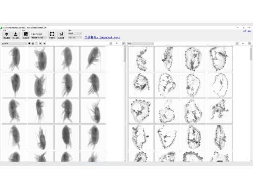 我們的優(yōu)勢3
